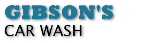 Website Logo